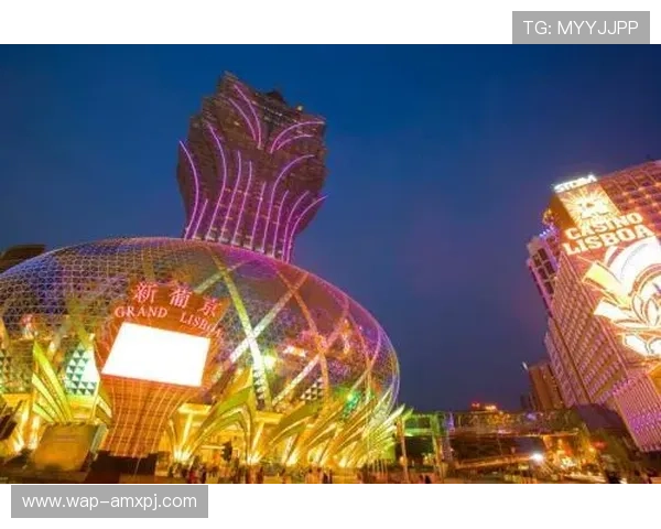 澳门新葡京注册登录入口用户体验优化，提供更便捷的登录注册服务