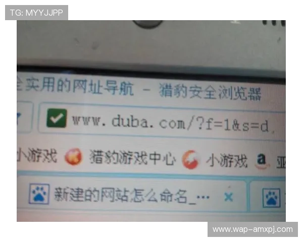 新王者葡京的网址新版本更新，详细介绍网址变更原因及玩家应注意的安全事项