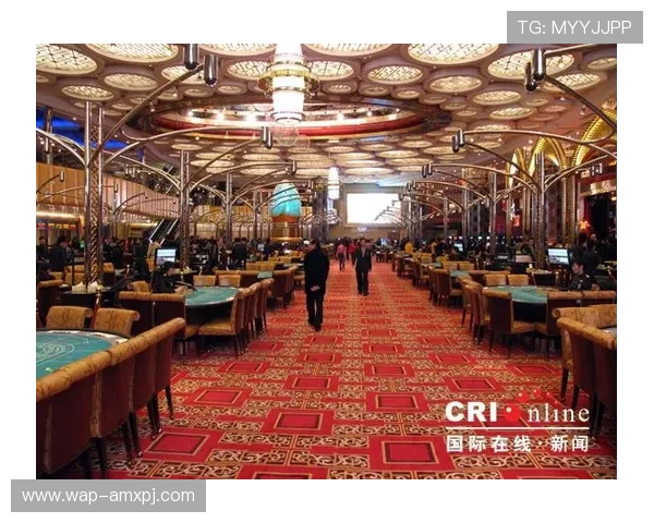 澳门新葡京455游戏种类丰富多样满足不同玩家的娱乐需求与体验