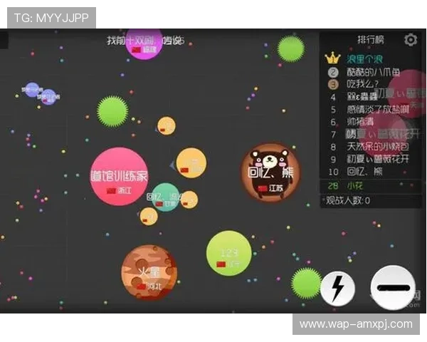 大阳城入口官方最新版本下载指南,确保玩家第一时间获取最新游戏资源