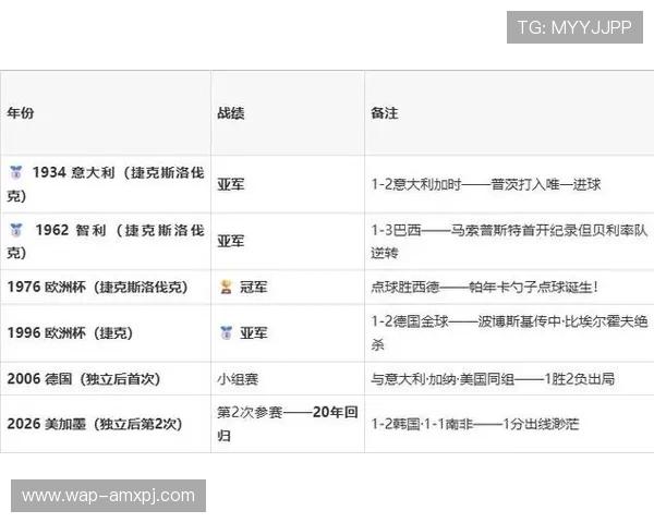 捷克对墨西哥比赛大小球走势数据分析及专家预测建议
